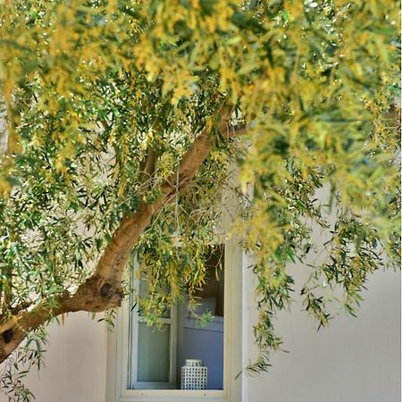 Douskos Beach House Apartment Hydra  Exterior photo